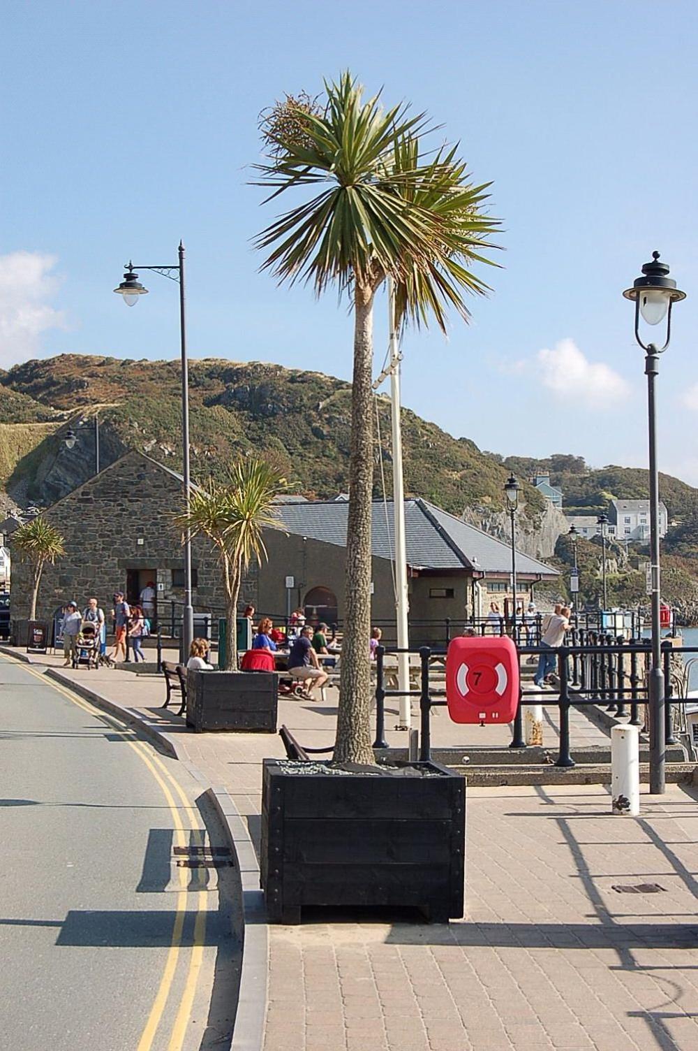 Beach Vista Apartment Three In Barmouth Exterior foto